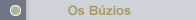 Os Buzios